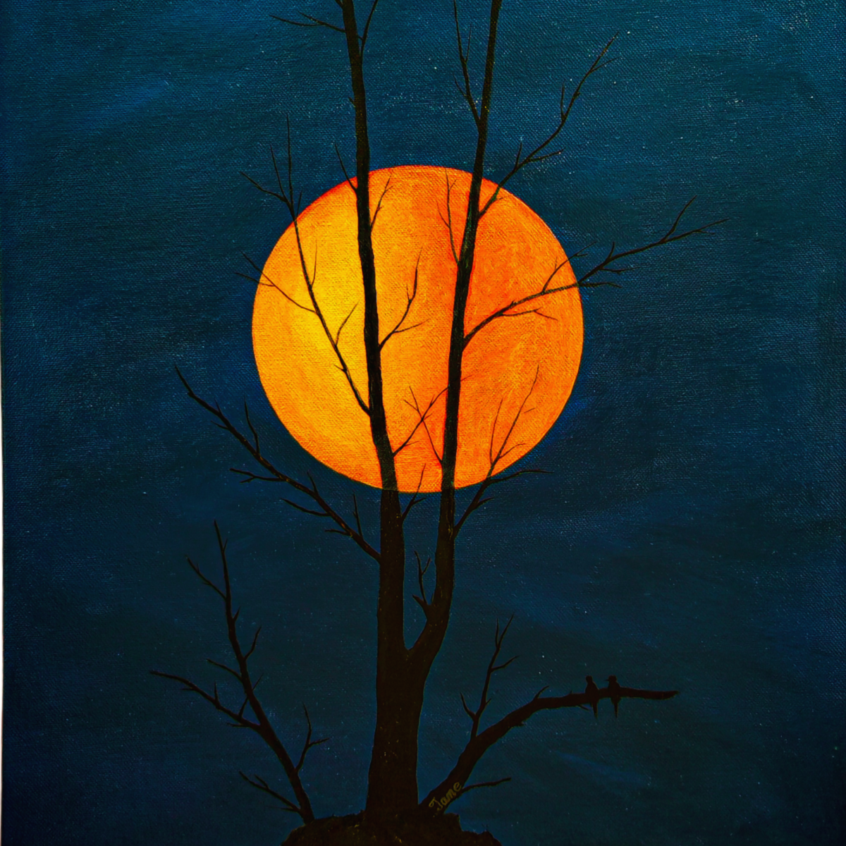 MOON COLLECTION